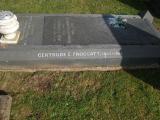 image of grave number 136555